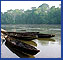 Amazon Rain Forest E-Travel Logs